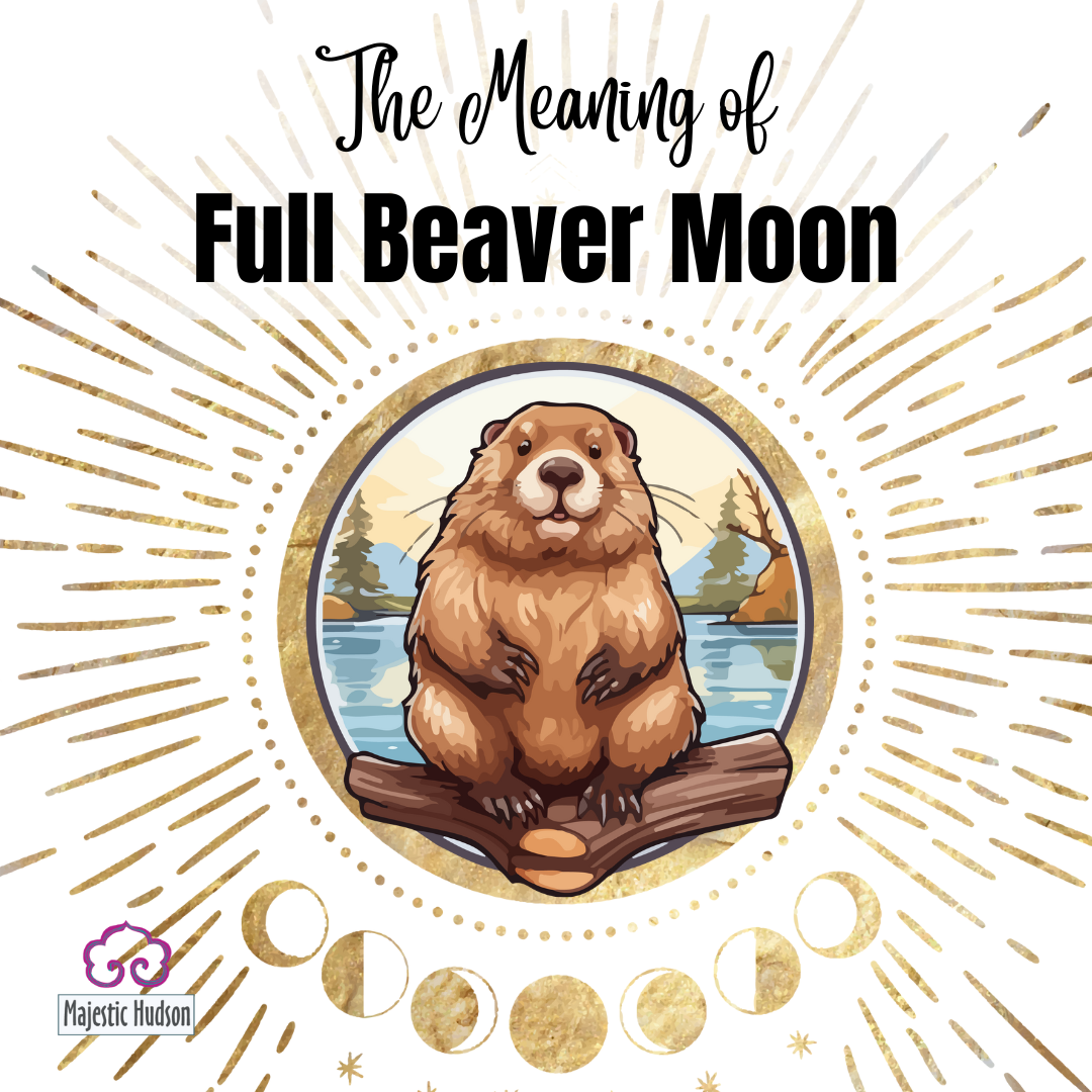 beaver-full-moon-meaning-full-moon-rituals-majestic-hudson