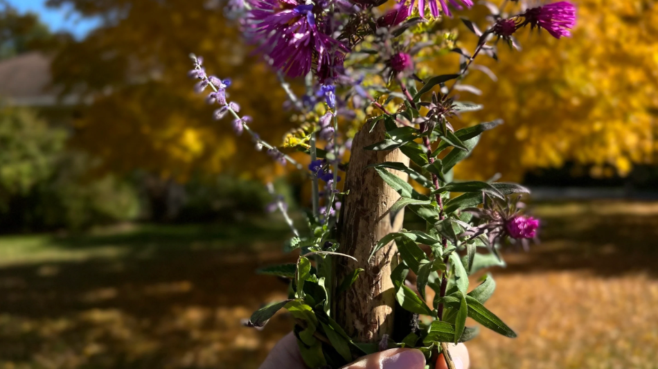 The World is Full of Magic Things