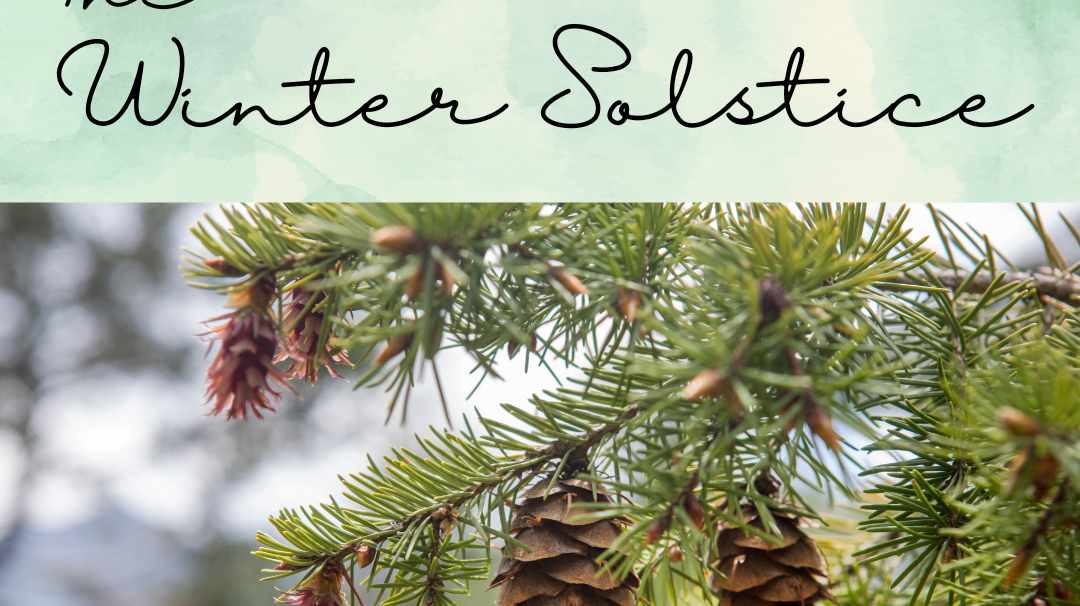 The Winter Solstice and Pine Cone Symbolism