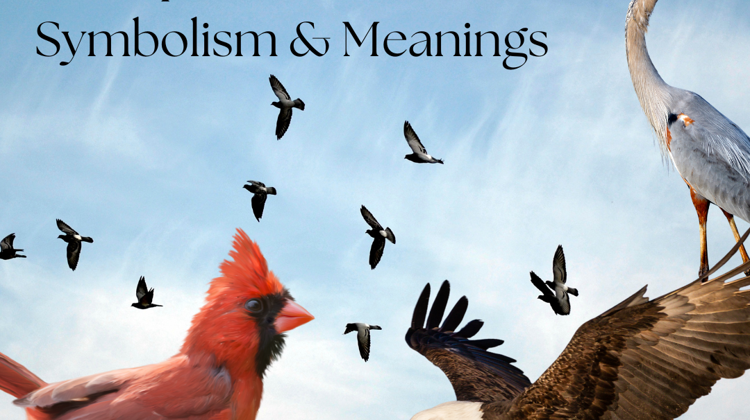 Unlock the Wisdom of Bird Spirit Animals: Symbolism and Meanings