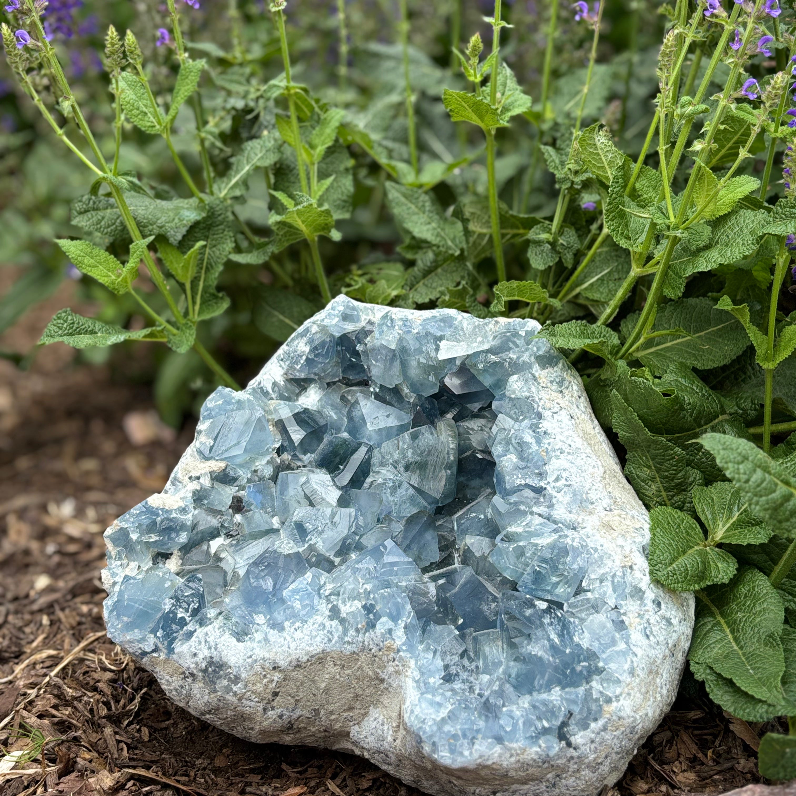 Geode crystal rock surrounded by green plants and purple flowers