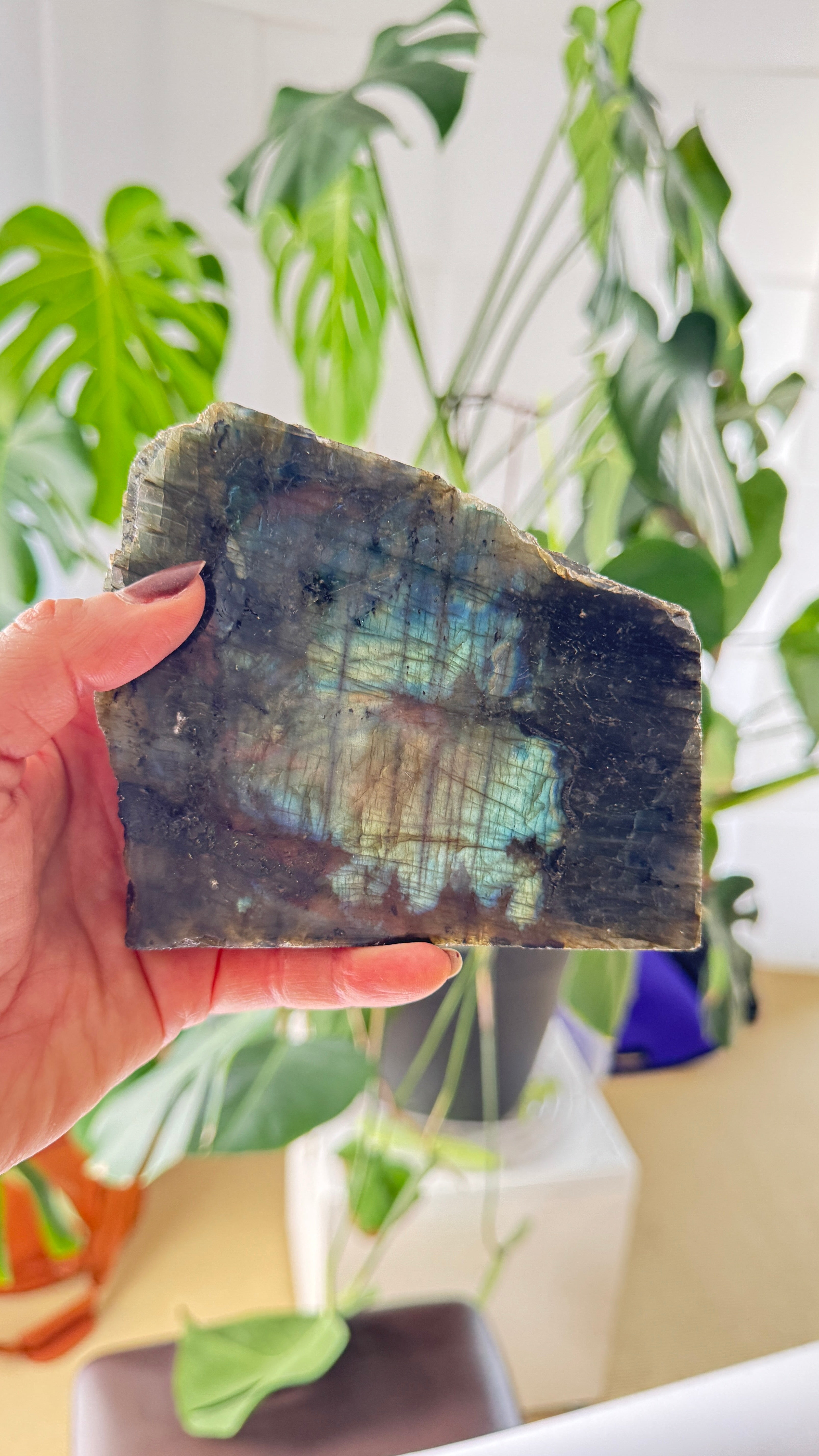 "Large Labradorite slab with vibrant blue and green flash"