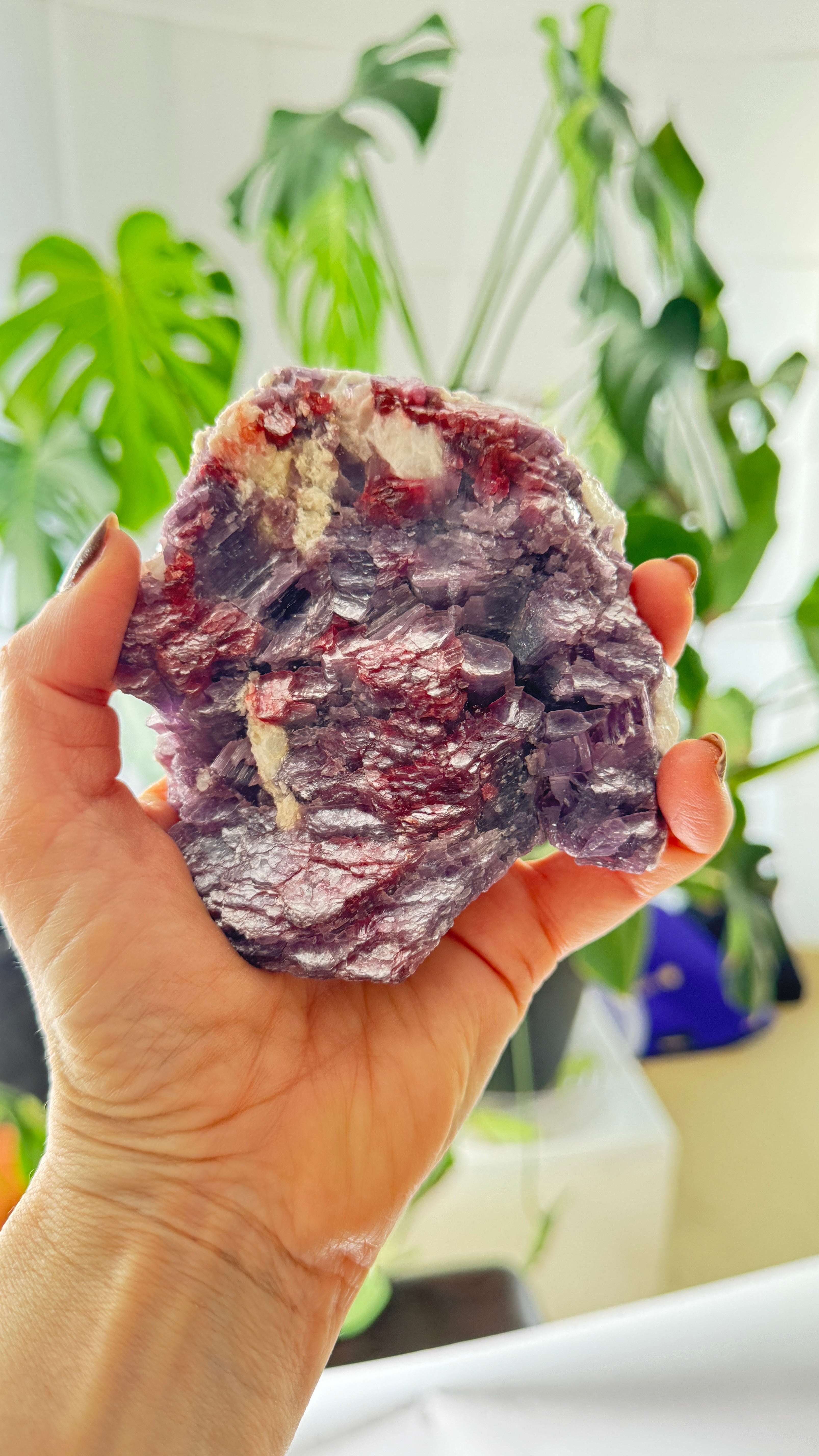 hand holding Lepidolite with Rubellite crystal for emotional healing and heart chakra work
