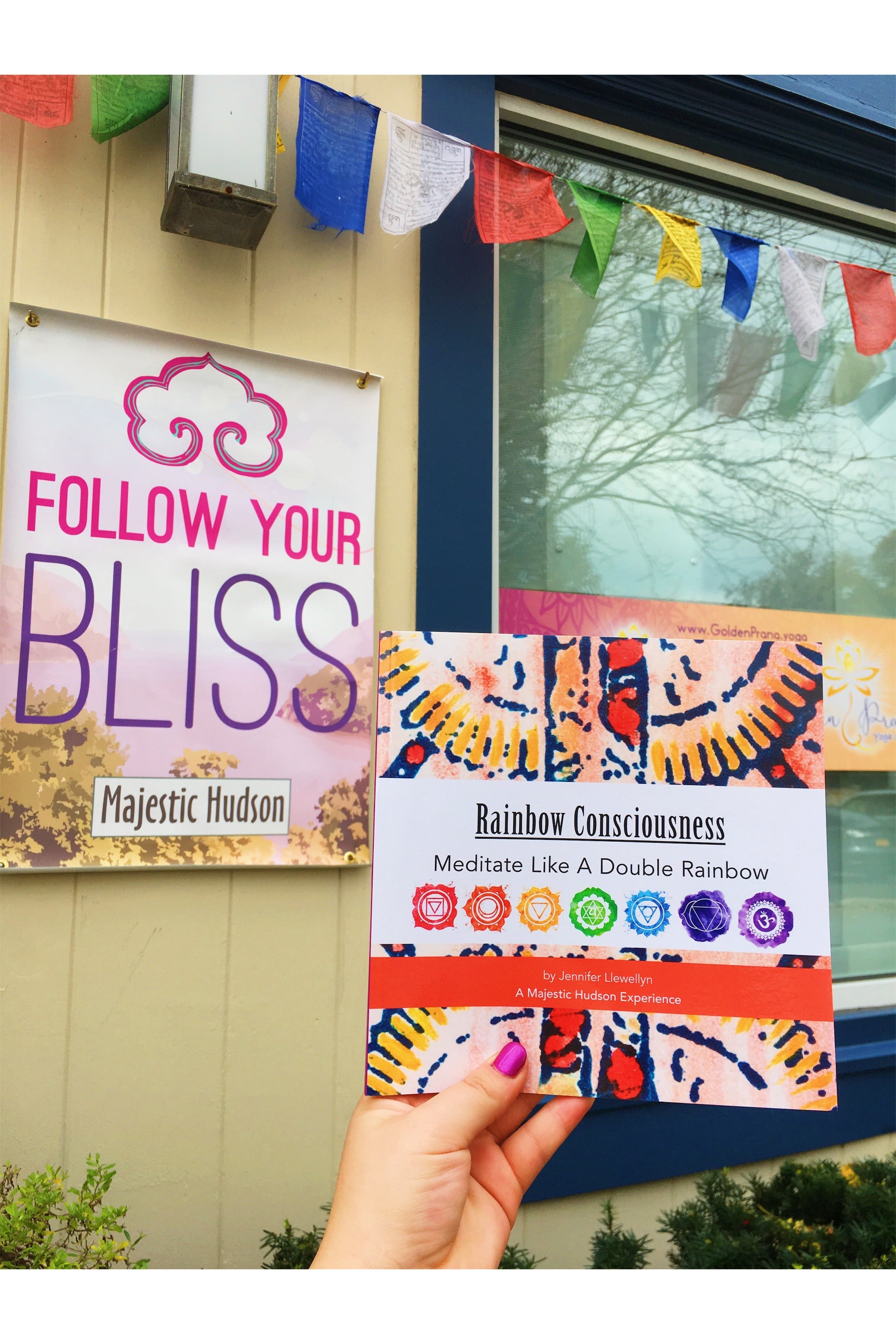 Rainbow Consciousness | Meditate Like A Double Rainbow | Book Majestic Hudson Lifestyle Books