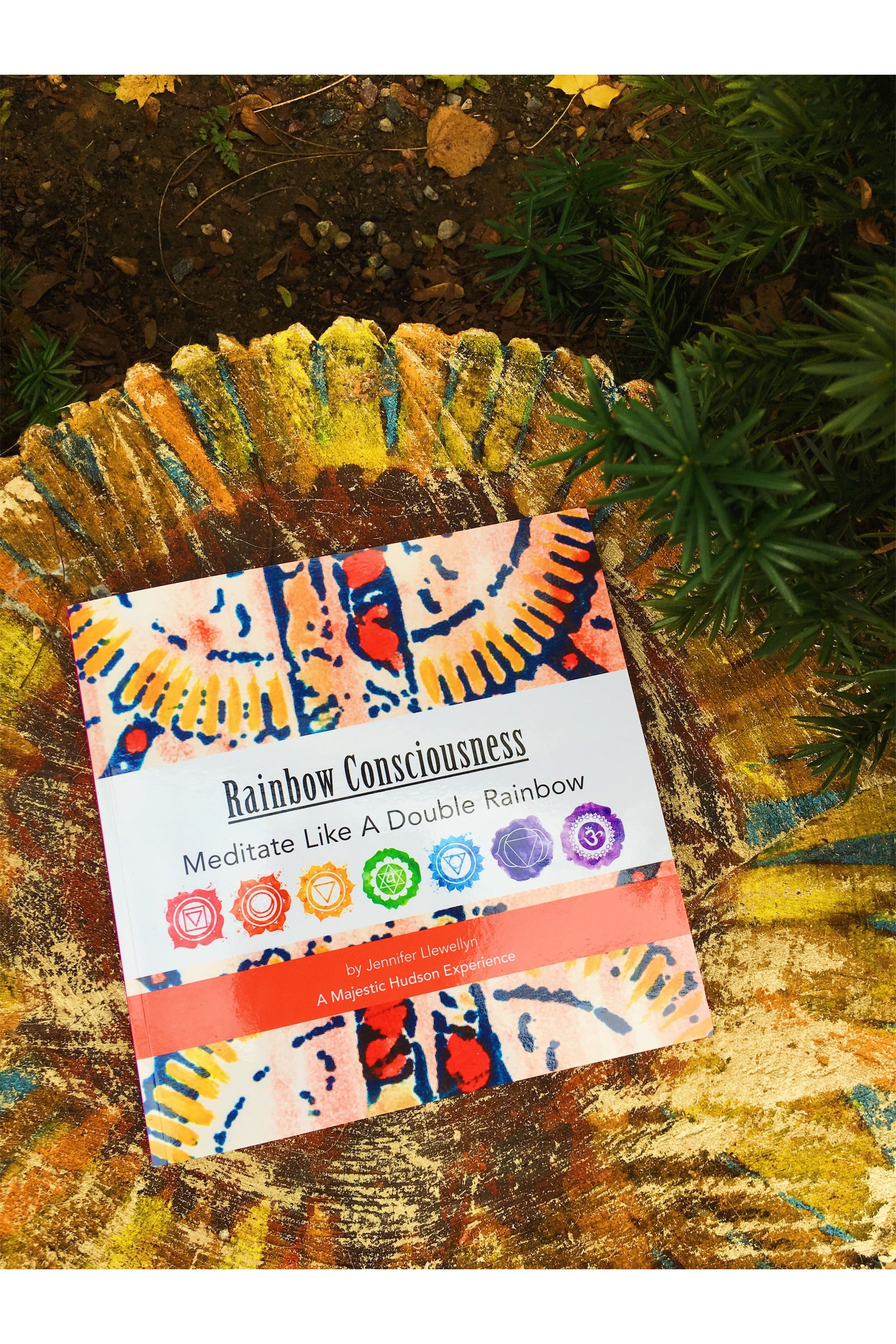 Rainbow Consciousness | Meditate Like A Double Rainbow | Book Majestic Hudson Lifestyle Books