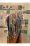 Palm-Sized Kyanite Cluster - with Quartz, Lithium Majestic Hudson Lifestyle Experiences