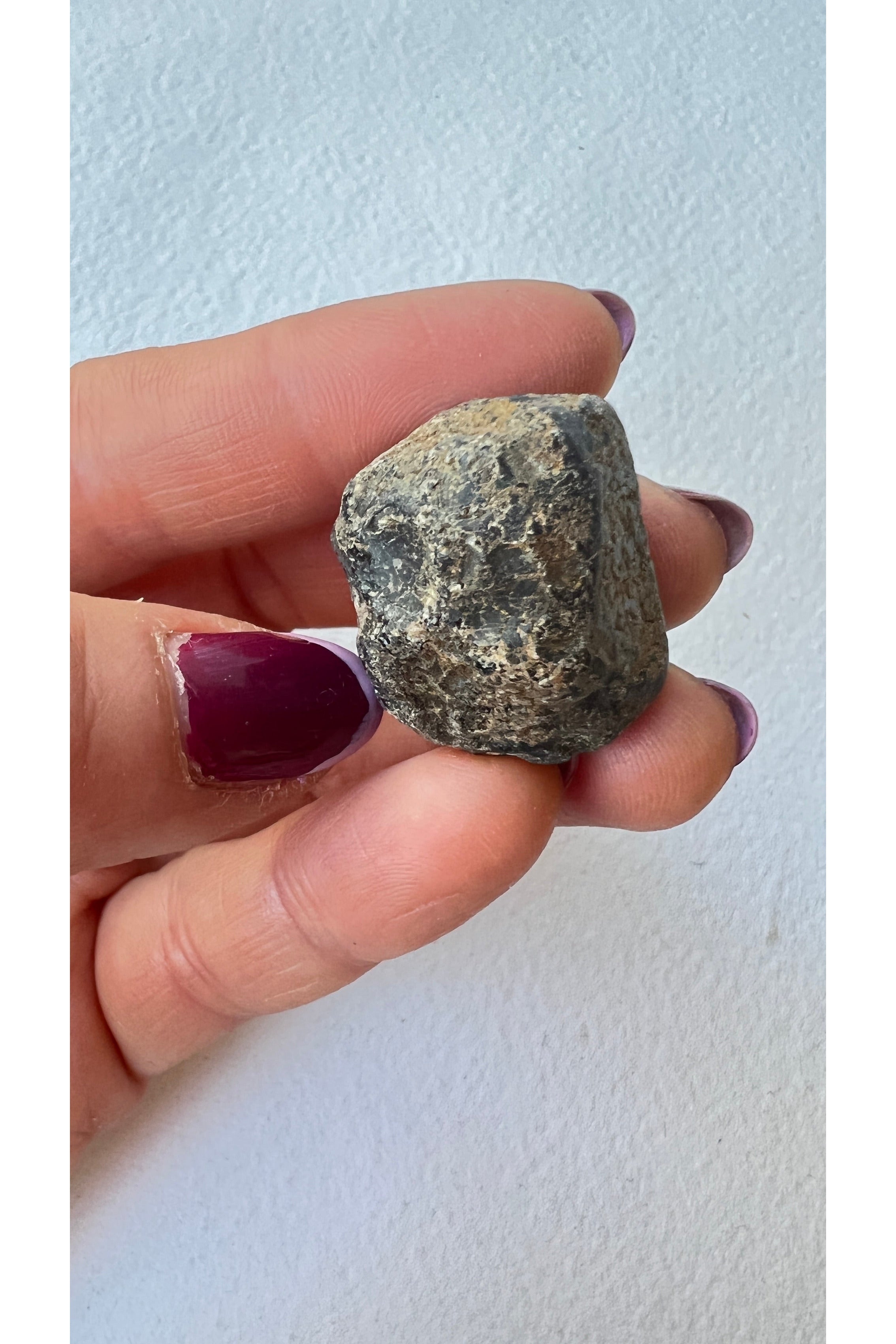 Apache Tears | Black Obsidian Majestic Hudson Lifestyle Crystals