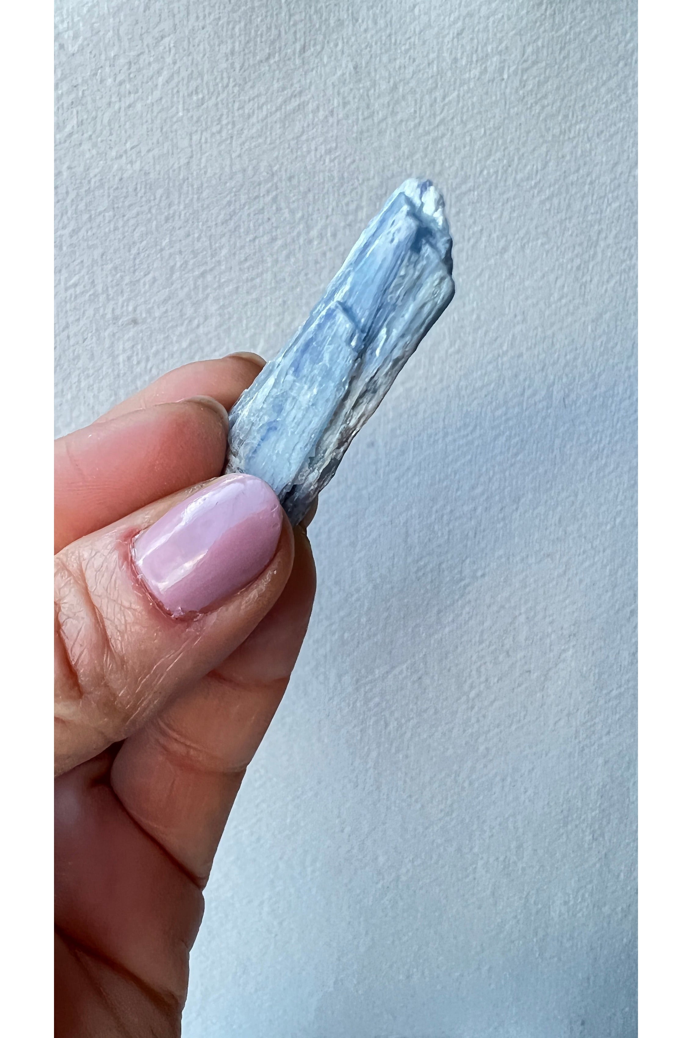 Raw Blue Kyanite Majestic Hudson Lifestyle Crystals