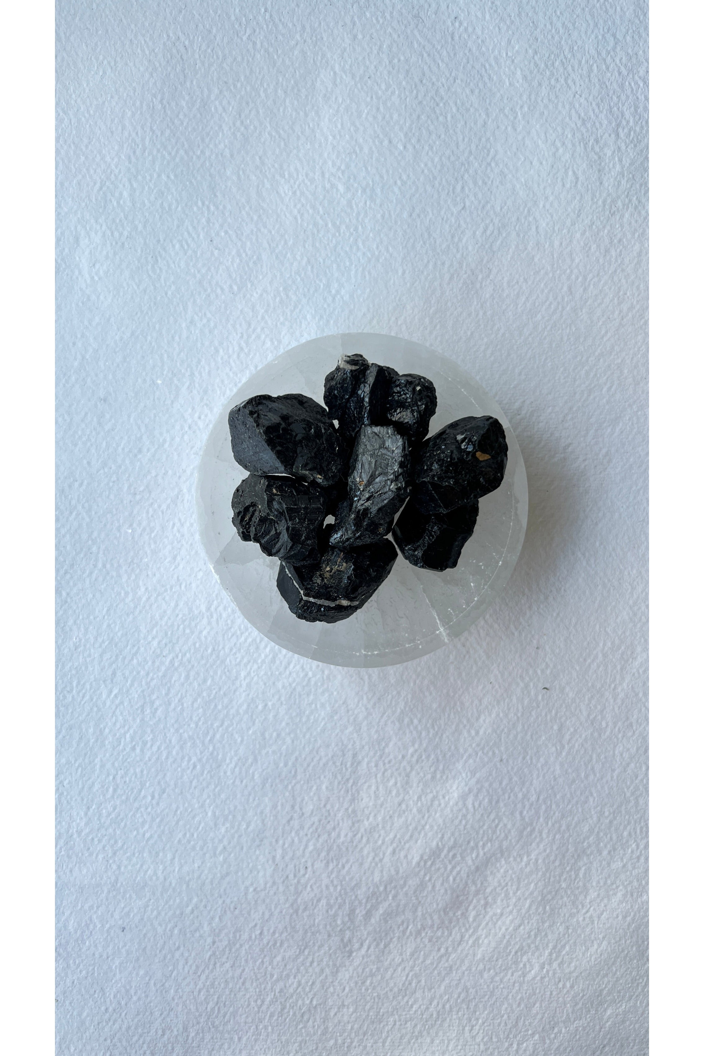 Black Tourmaline | Raw | Medium Majestic Hudson Lifestyle Crystals