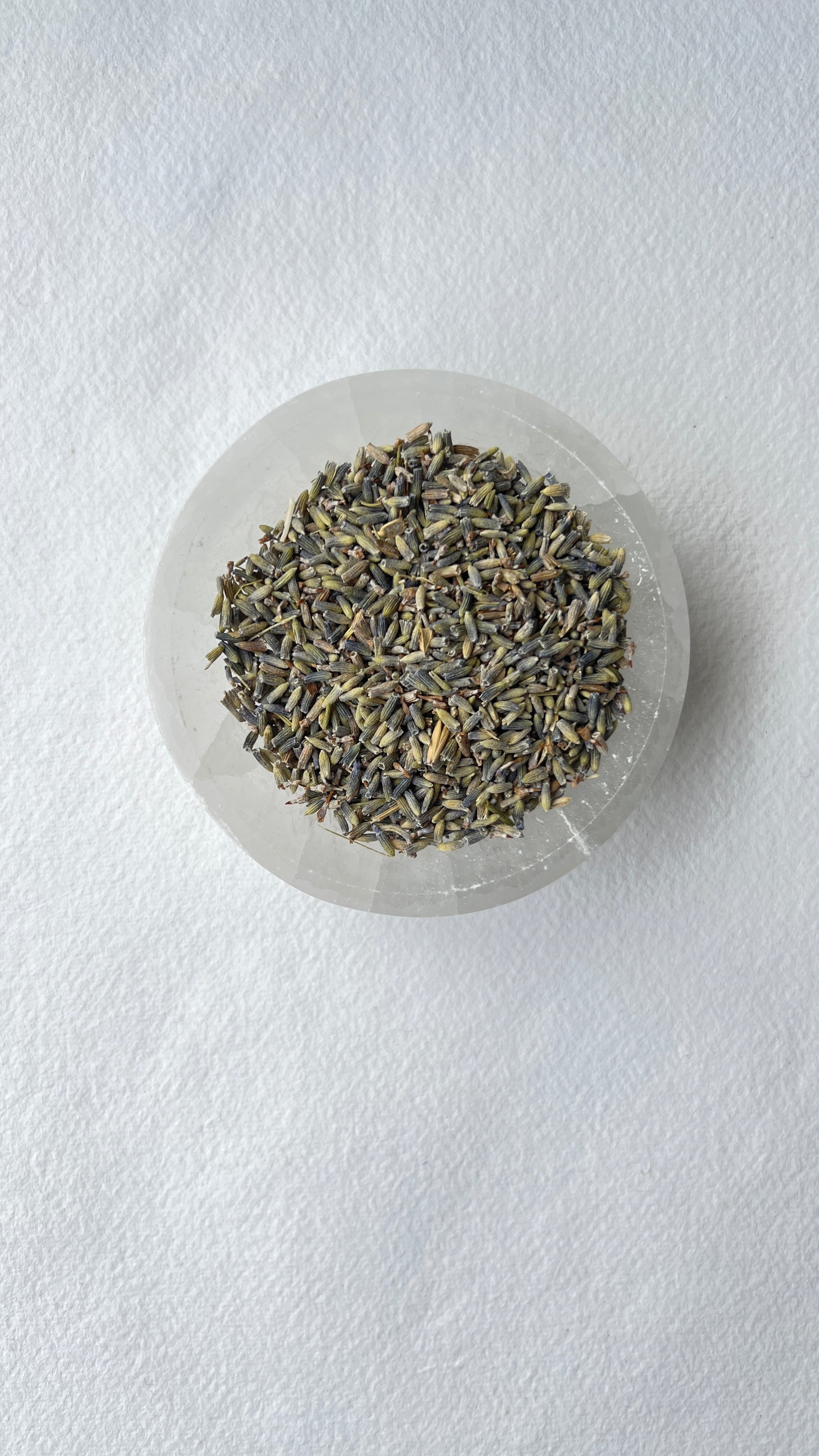 Lavender Majestic Hudson Lifestyle