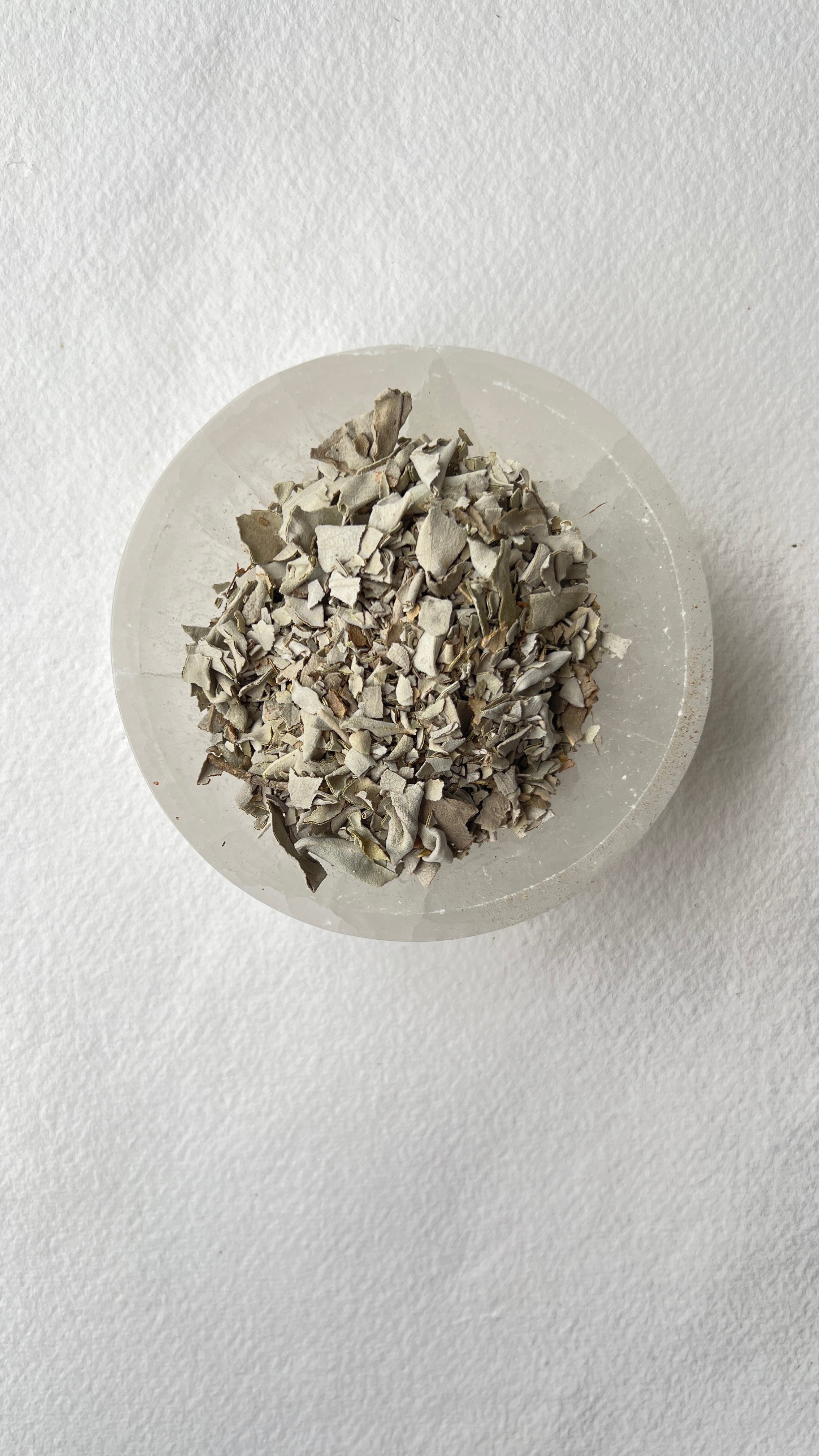 Loose Sage Majestic Hudson Lifestyle