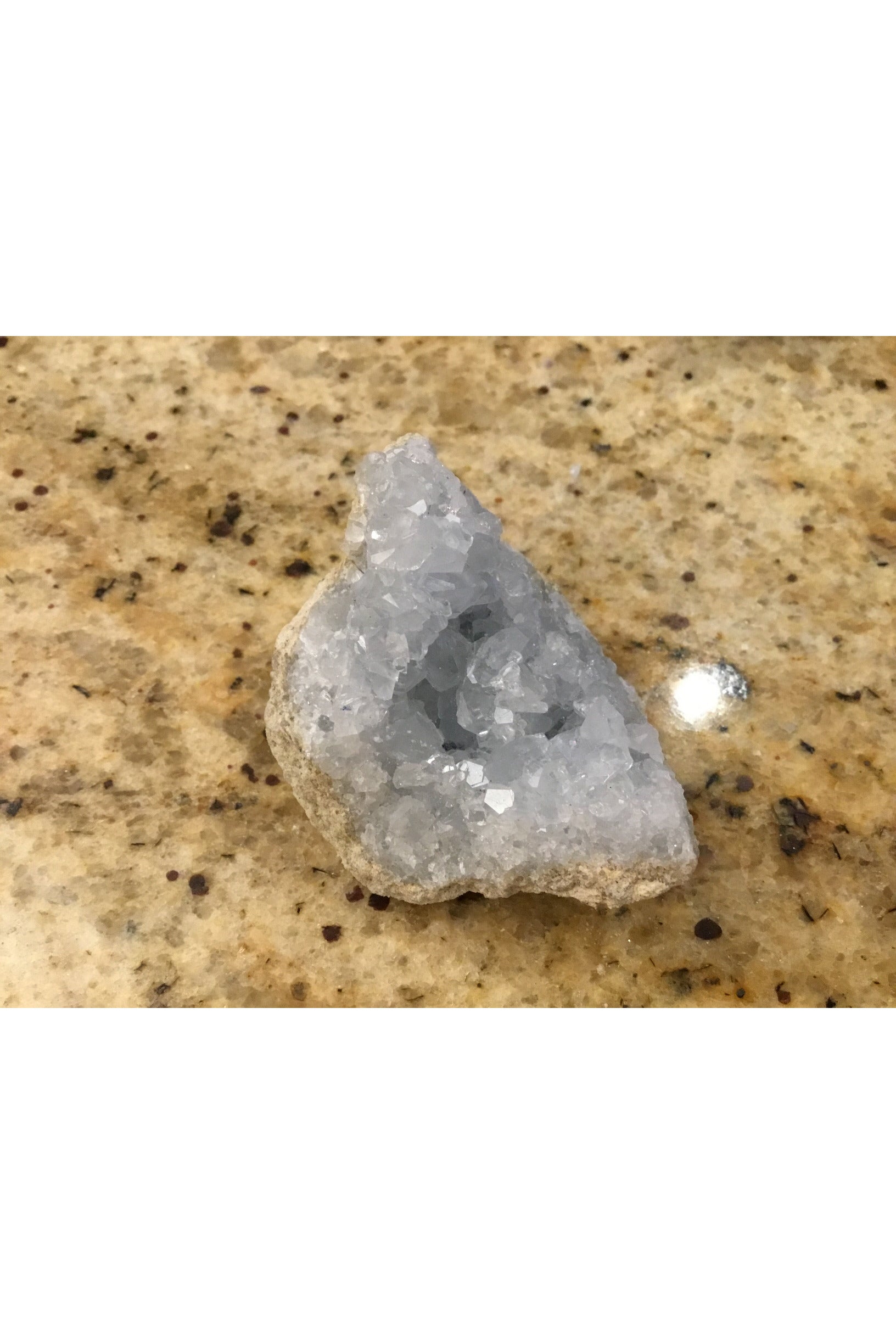 Small celestite geode Majestic Hudson Lifestyle