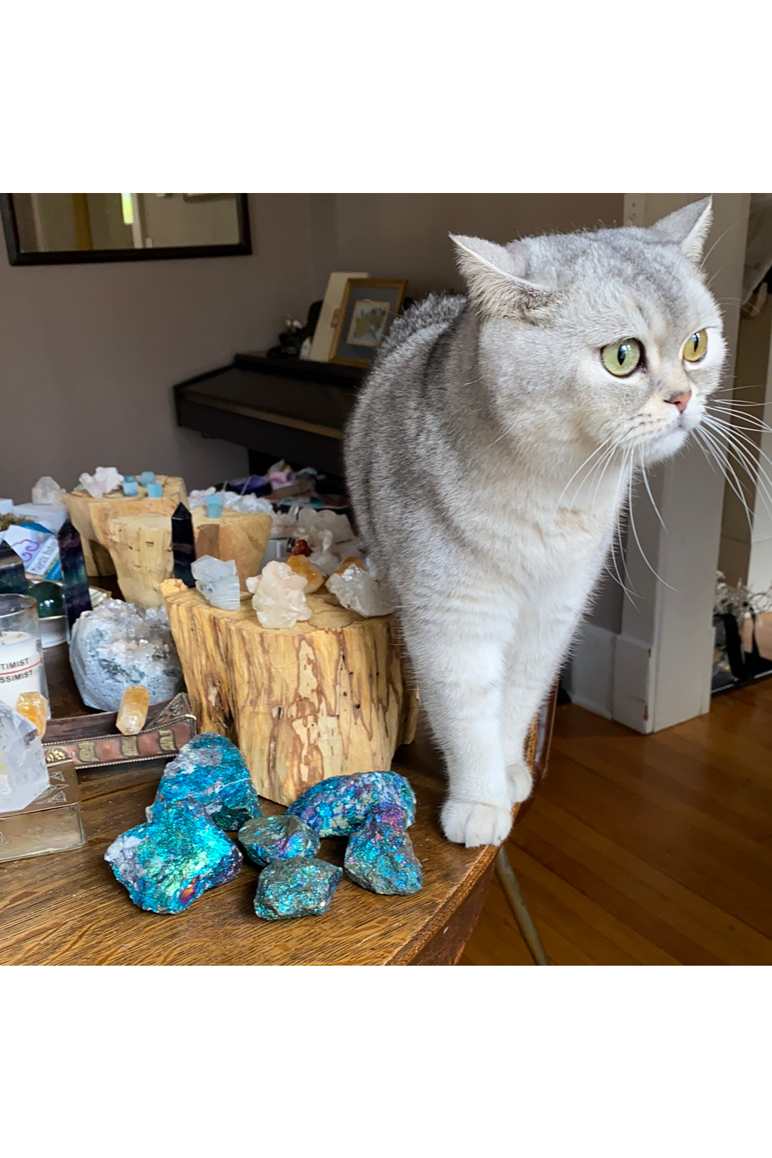 Chalcopyrite | Peacock Ore | Large Majestic Hudson Lifestyle Crystals