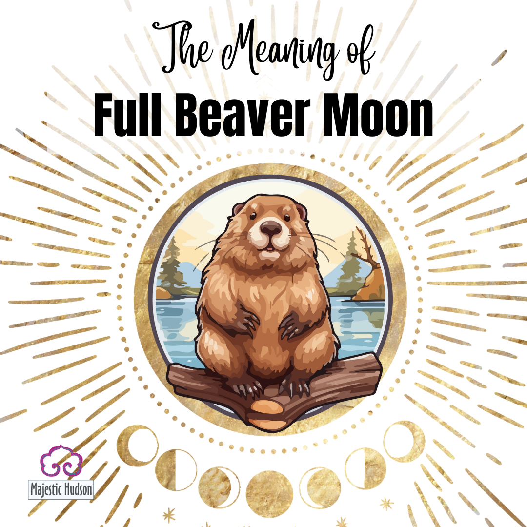 Beaver Mooth Beaver Full Moon Meaning | Full Moon Rituals | Majestic Hudson ...