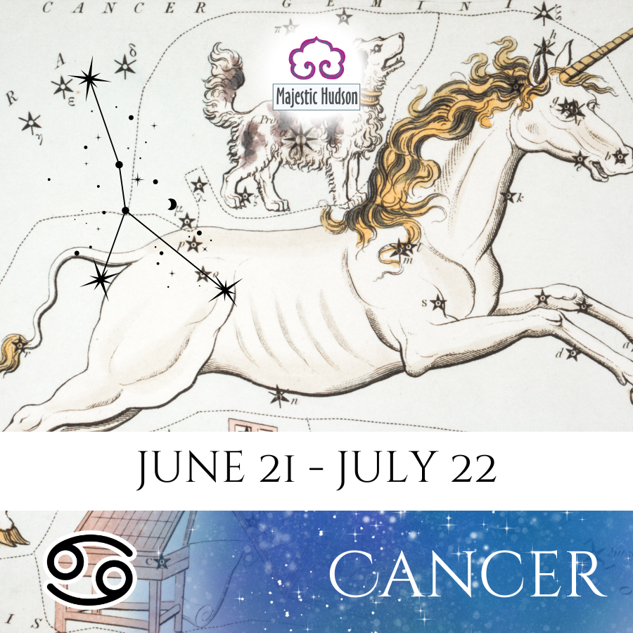 Harness Your Zodiac Sign for Good Luck in the New Year | Zodiac Ritual Kits & Astrology Magic