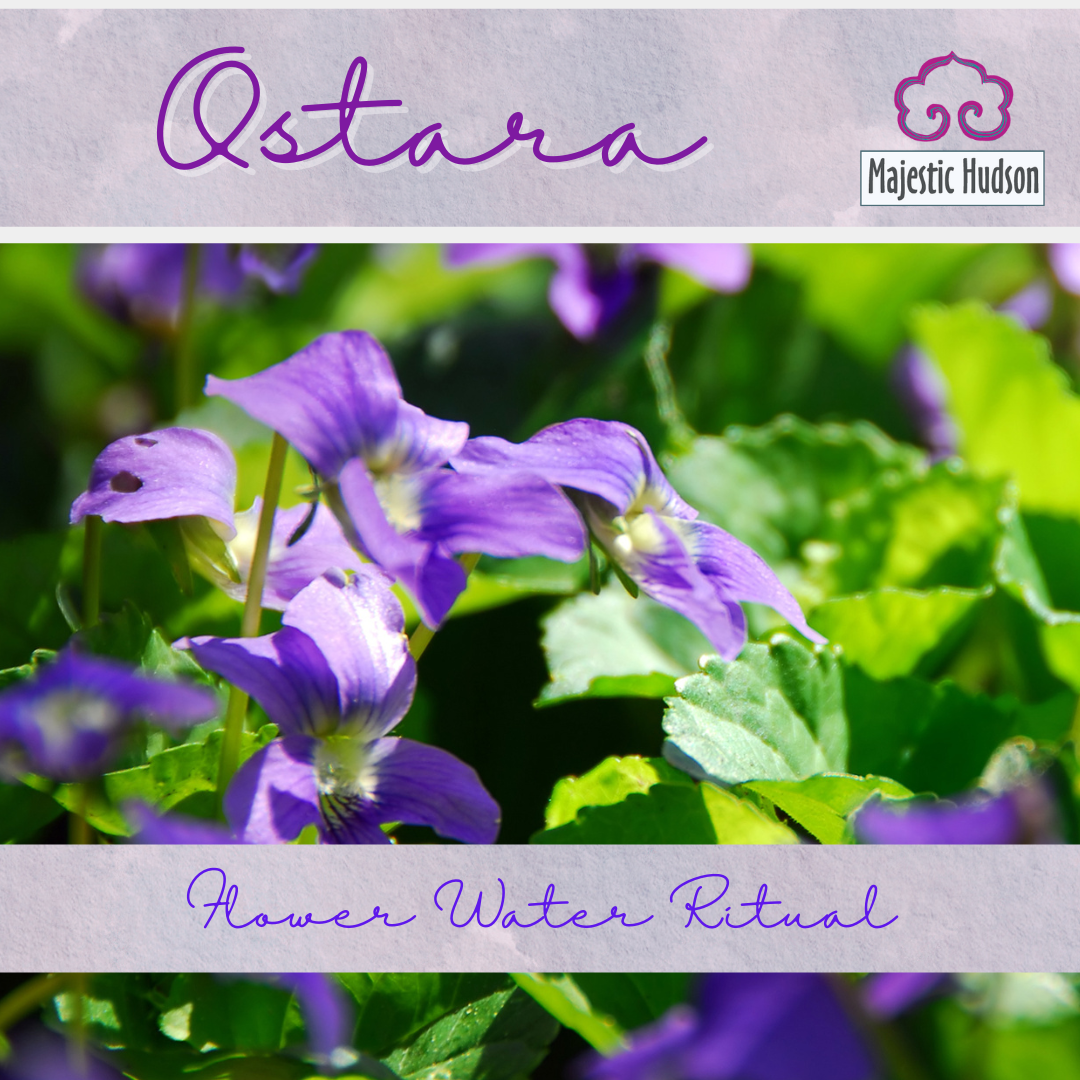 Welcoming the Spring Equinox: A Flower Water Ritual for Renewal 🌸✨