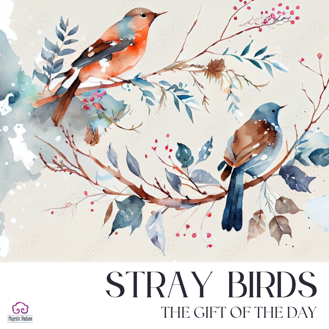 Stray Birds, Winter Reflections, and the Illuminated Messenger ✨