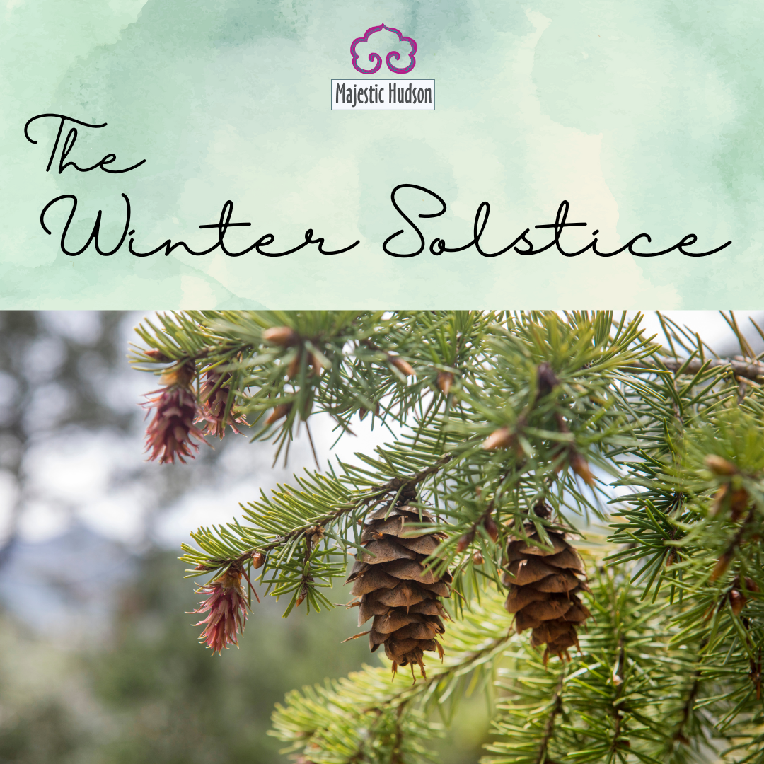 The Winter Solstice and Pine Cone Symbolism