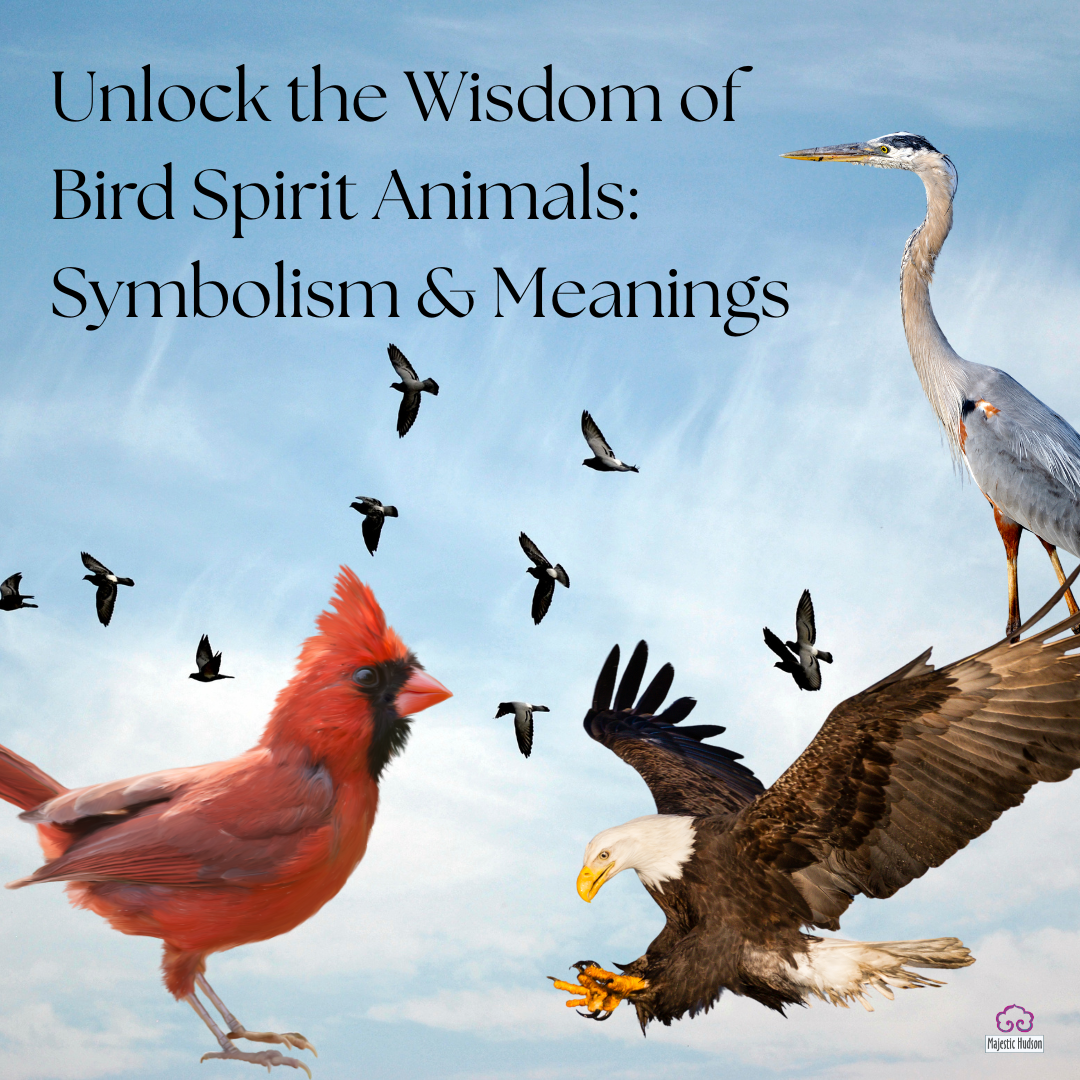 Unlock the Wisdom of Bird Spirit Animals: Symbolism and Meanings