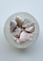 Cinnabar Majestic Hudson Lifestyle