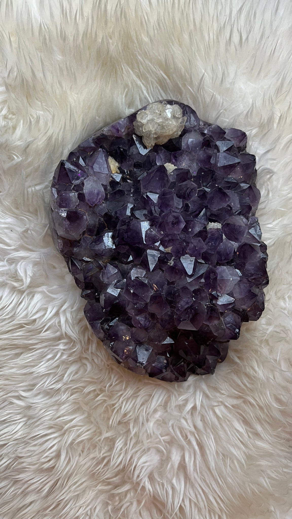 Truly Majestic Amethyst Geode with Large Facets