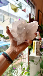 Quartz Geode Unique Specimen Majestic Hudson Lifestyle