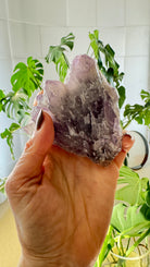 Amethyst Geode Palm Sized