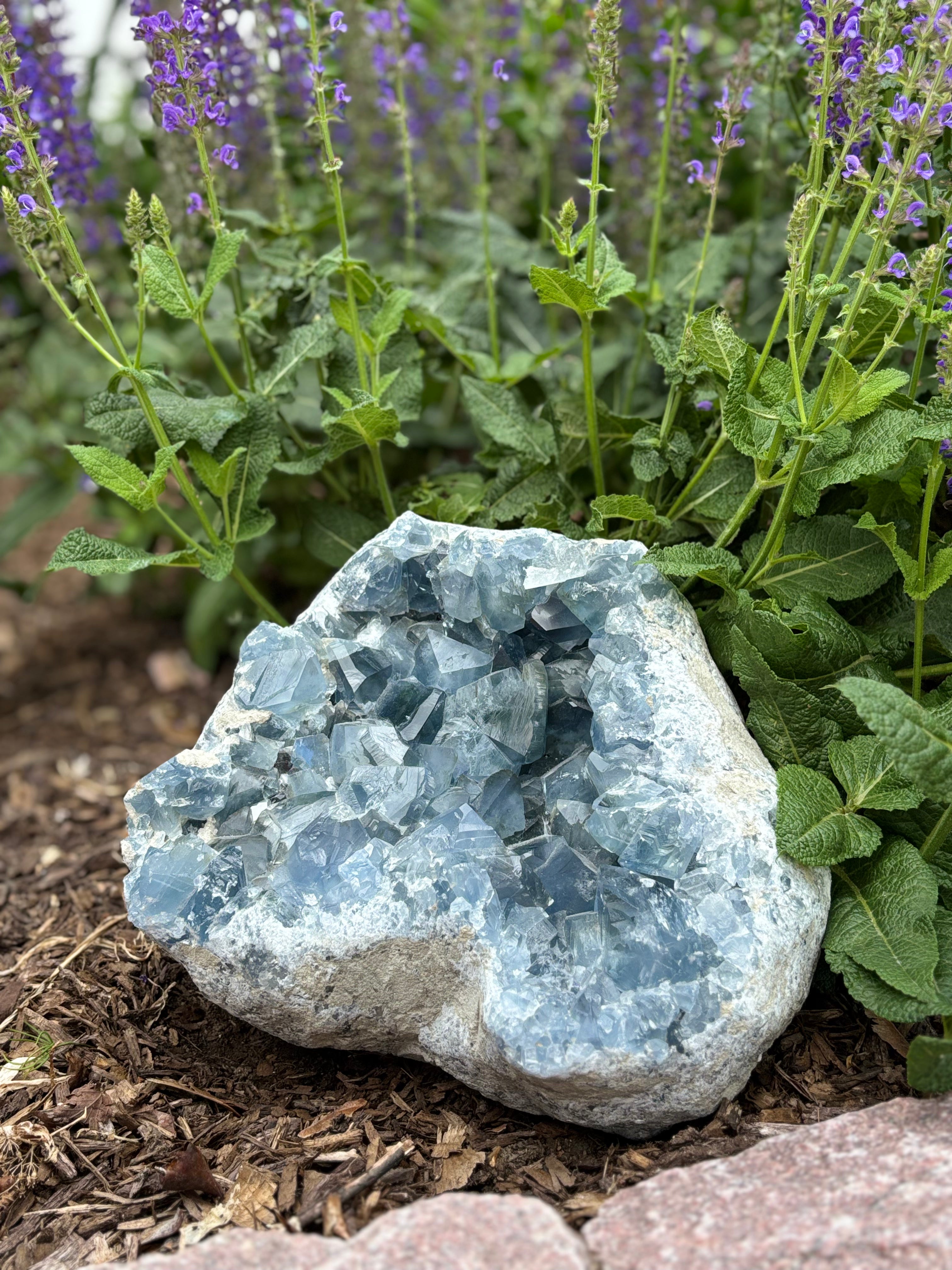 Geode crystal rock surrounded by green plants and purple flowers