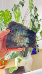 "Large Labradorite slab with vibrant blue and green flash"