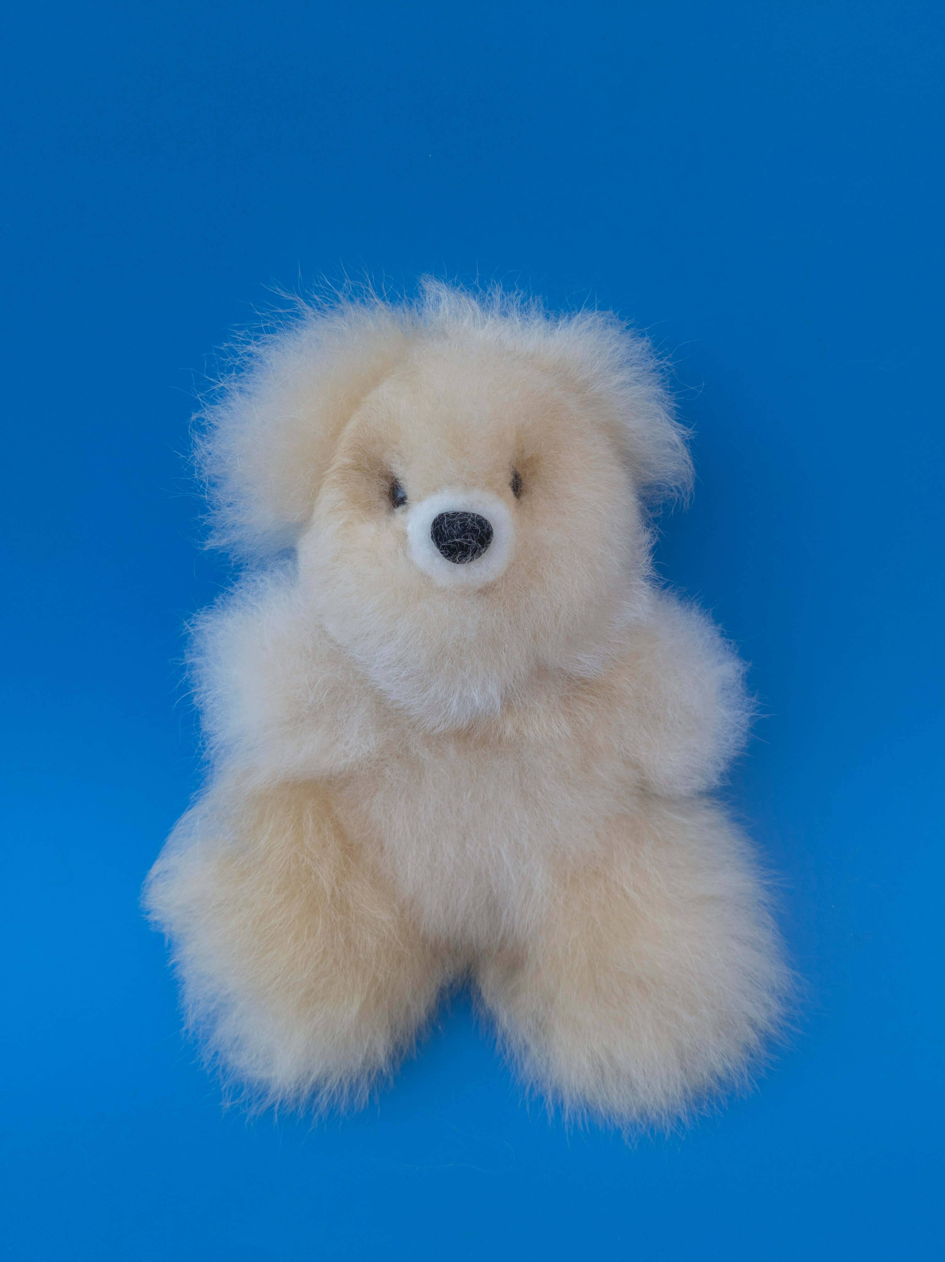 Small Honey Bear Majestic Hudson Lifestyle Home Decor