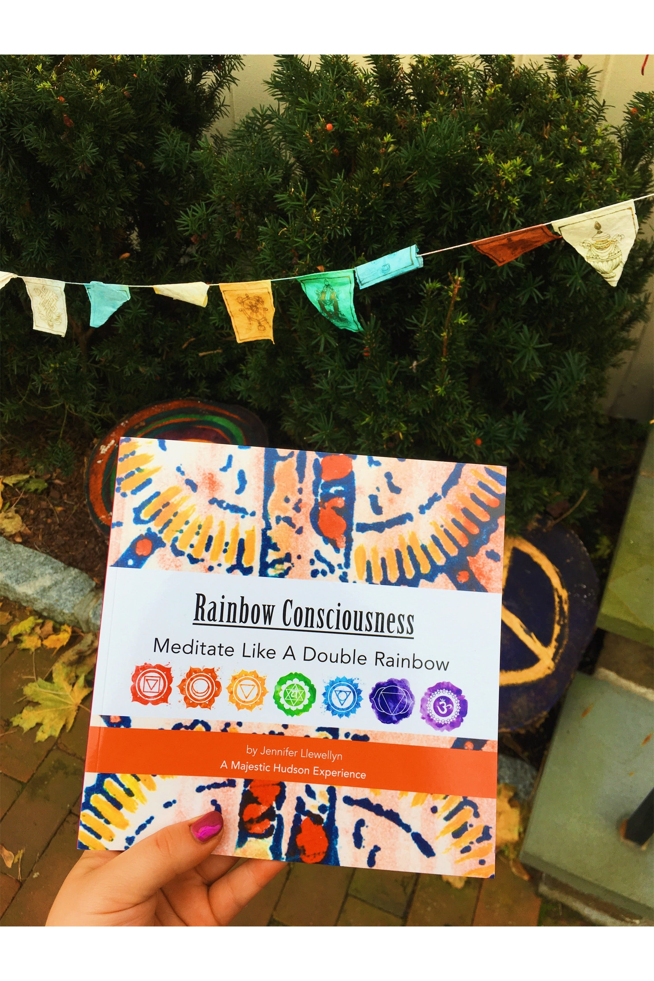 Rainbow Consciousness | Meditate Like A Double Rainbow | Book Majestic Hudson Lifestyle Books