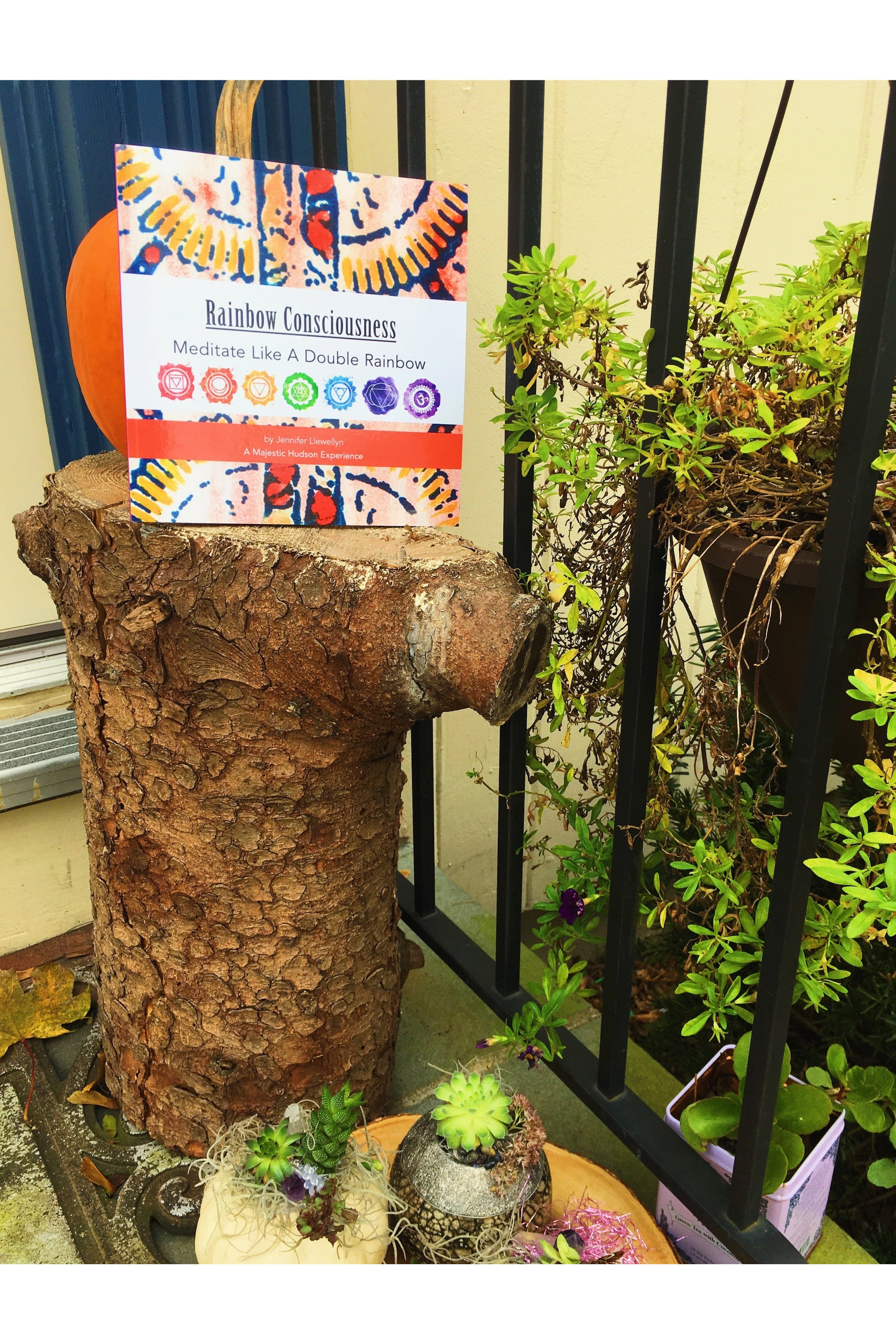 Rainbow Consciousness | Meditate Like A Double Rainbow | Book Majestic Hudson Lifestyle Books