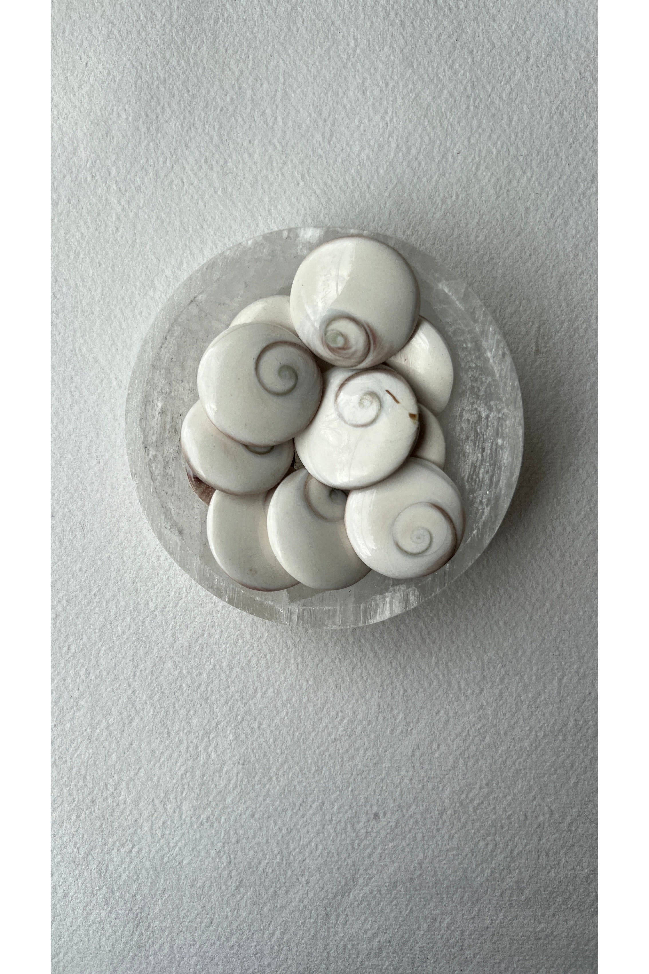 Shiva’s Eye | Fossil Majestic Hudson Lifestyle