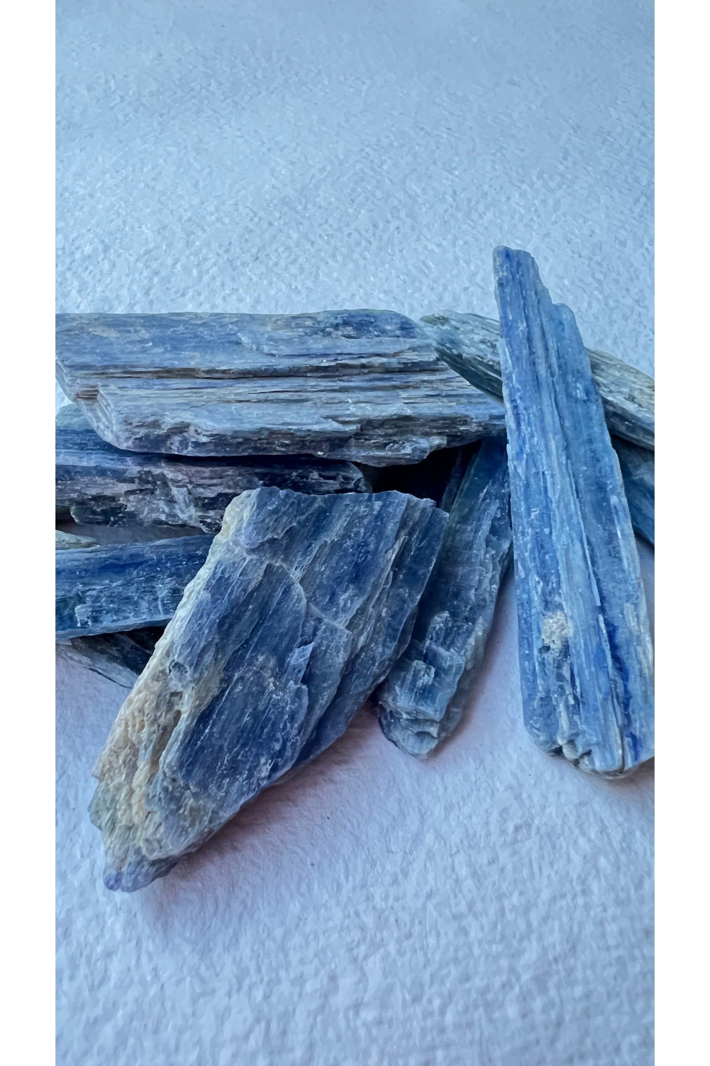 Raw Blue Kyanite Majestic Hudson Lifestyle Crystals