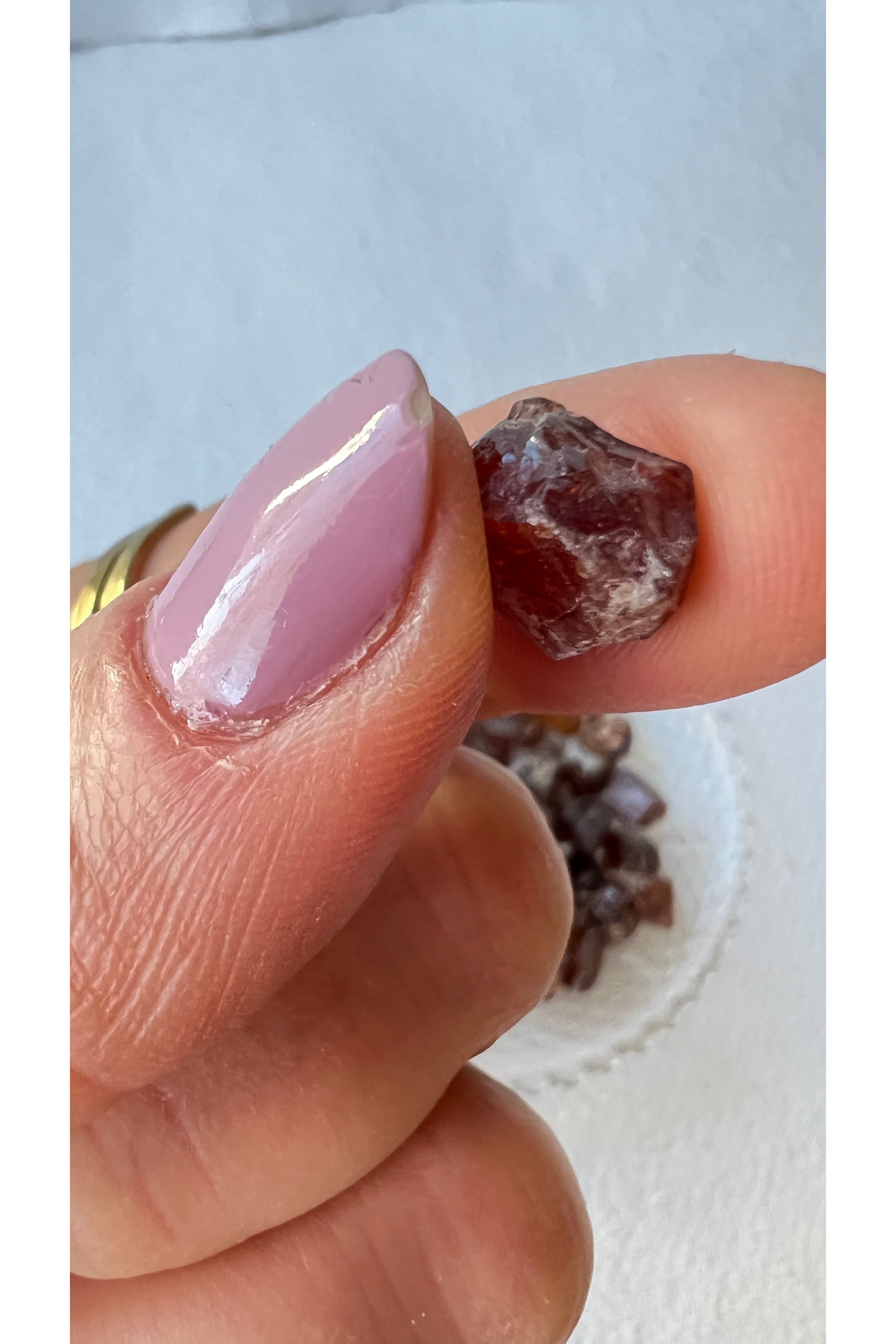 Garnet | Raw Majestic Hudson Lifestyle