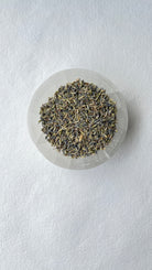 Lavender Majestic Hudson Lifestyle