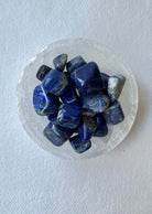 Lapis Lazuli | Tumbled Majestic Hudson Lifestyle Crystals