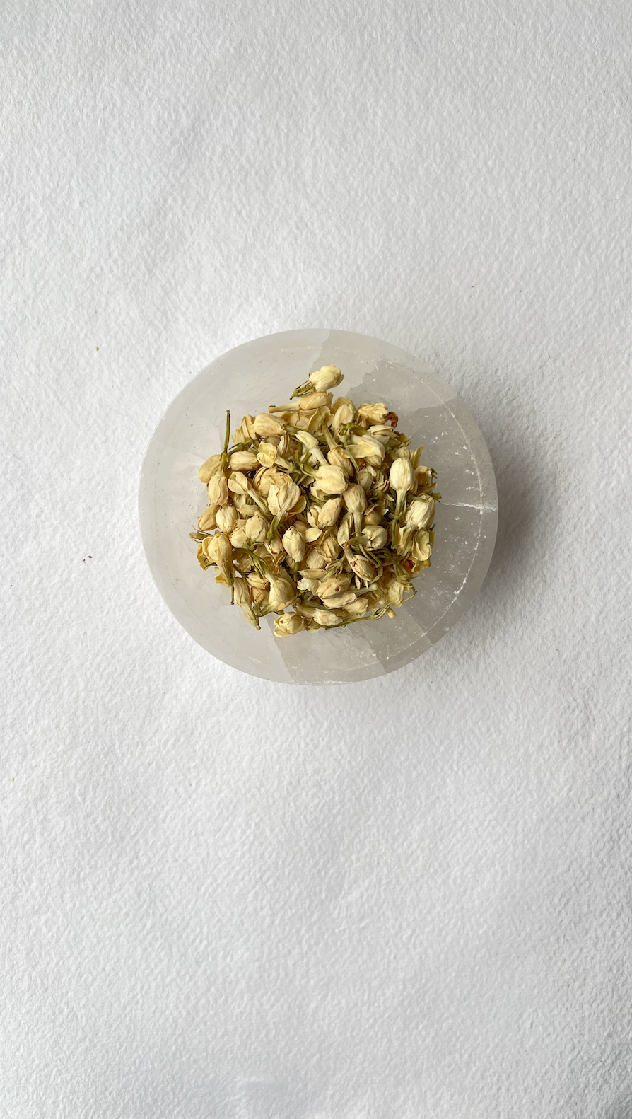 Jasmine Majestic Hudson Lifestyle