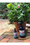 Good Vibes | Specialty Essence Majestic Hudson Lifestyle Experiences Aromatherapy