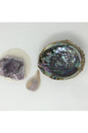 Abalone Shell Majestic Hudson Lifestyle Experiences Incense and candles