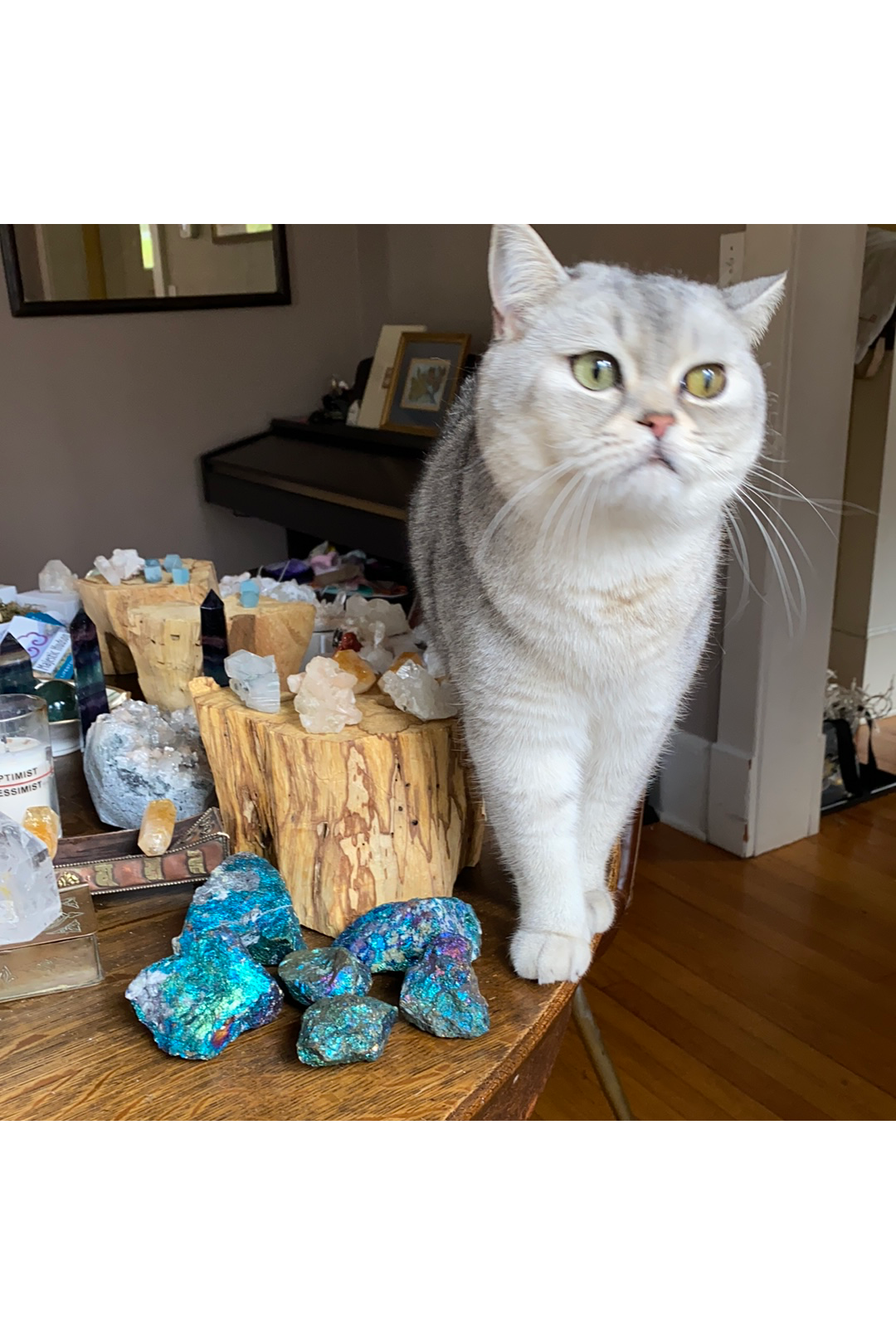 Chalcopyrite | Peacock Ore | Large Majestic Hudson Lifestyle Crystals