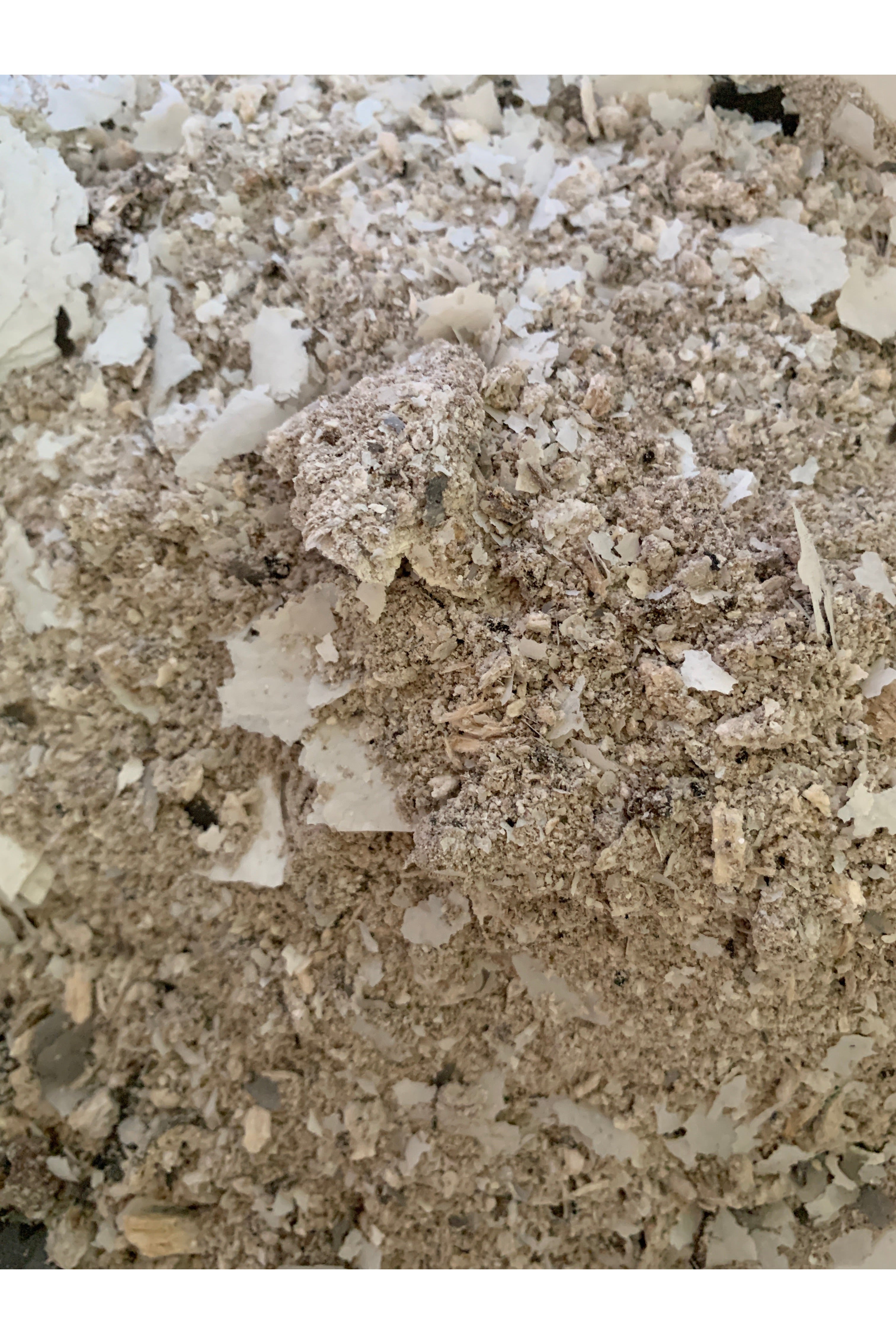 Black Salt for Protection Magic Majestic Hudson Lifestyle wellness