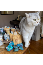 Chalcopyrite | Peacock Ore | Large Majestic Hudson Lifestyle Crystals