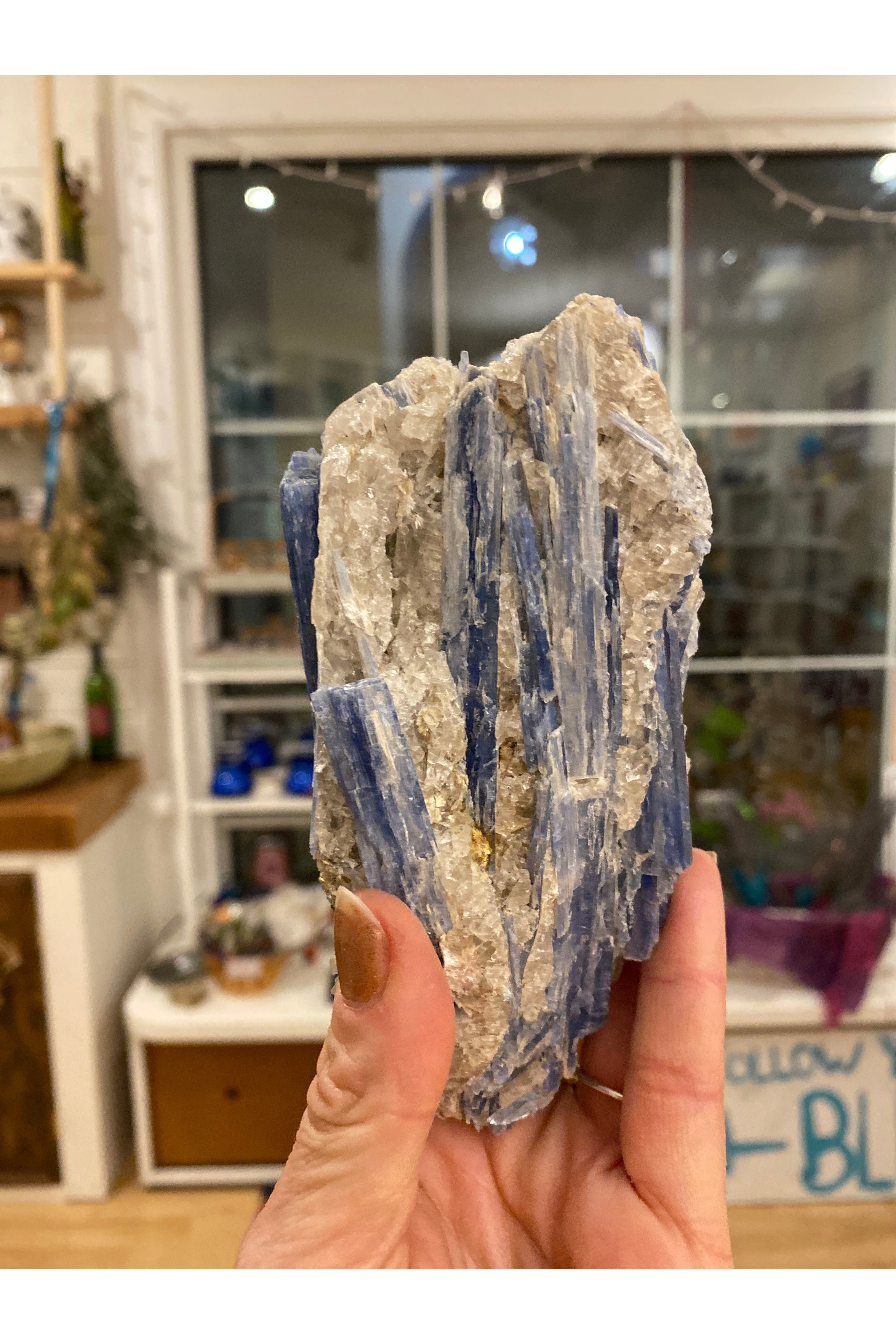 Palm-sized Kyanite cluster with Quartz, Lepidolite and Lithium