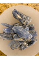 Palm-sized Kyanite cluster with Quartz, Lepidolite and Lithium