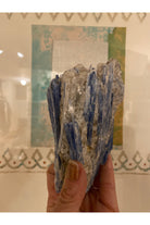 Palm-sized Kyanite cluster with Quartz, Lepidolite and Lithium