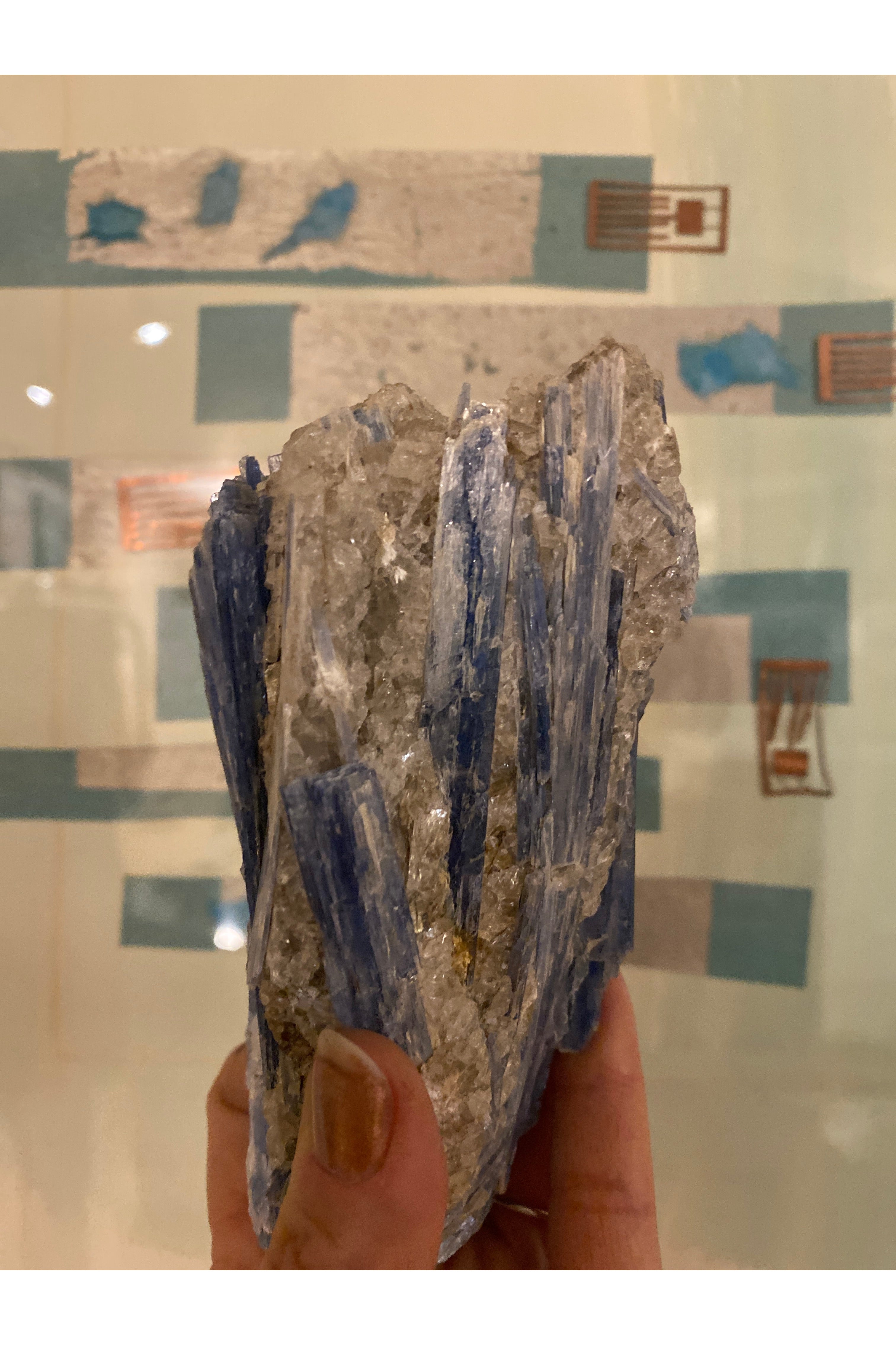Palm-sized Kyanite cluster with Quartz, Lepidolite and Lithium